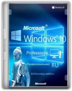 Windows 10 Pro VL x64 22H2 RU by OVGorskiy 09.2024